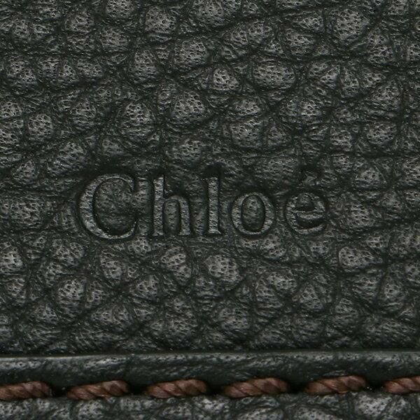 クロエ ボディバッグ ウエストポーチ マーシー レディース CHLOE CHC19AS179161 詳細画像