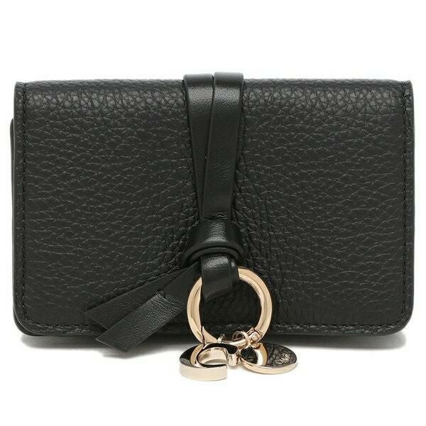 クロエ カードケース アルファベット 名刺入れ レディース CHLOE CHC21WP015F57 詳細画像