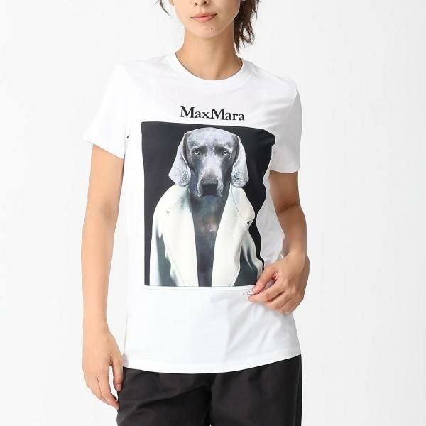 MAX MARAマックスマーラ犬 半袖 Tシャツ XS マックスマーラ Tシャツ カットソー チプリア レディース Max Mara